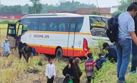 Kronologi Bus Harapan Jaya Terperosok Sawah, Penumpang Histeris - GenPI.co Jatim