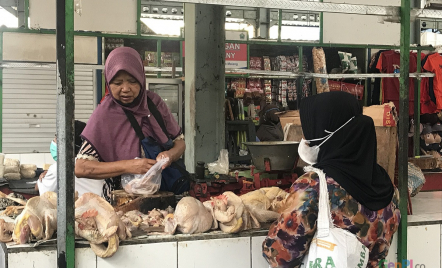 Harga Daging Ayam di Kota Malang Belum Normal, Mak-Mak Wajib Tahu - GenPI.co Jatim