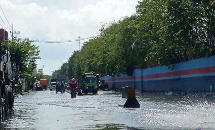 Banjir Rob Surabaya, Kalimas Baru Terendam, Warga: Paling Lama - GenPI.co Jatim