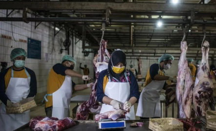 Kementan Serukan Peternak Berinovasi untuk Stop Impor Daging Sapi - GenPI.co Jogja