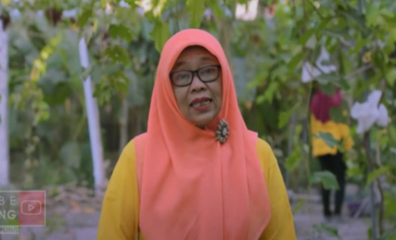 Kisah Ibu-ibu di Bantul Bikin Kampung Anggur, Panen Tiap Hari! - GenPI.co Jogja