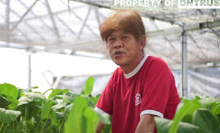 Kisah Sukses Pria di Sleman, Bertani Hidroponik di Lahan Sempit - GenPI.co Jogja