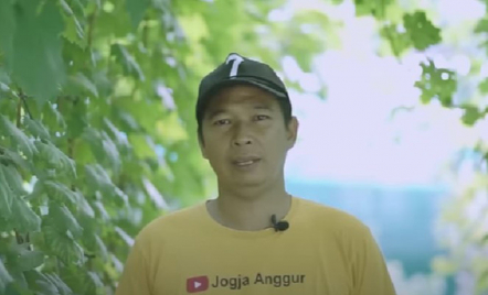 Danang Priatmoko, Pria di Bantul Sukses Bikin Wisata Kebun Anggur - GenPI.co Jogja