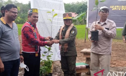 Pulihkan Lingkungan, Gapki Ikut Tanam 1.100 Pohon di Sintang - GenPI.co Kalbar