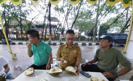 Banyak Diminati, Durian Jemongko Asal Sanggau Ludes Terjual - GenPI.co Kalbar