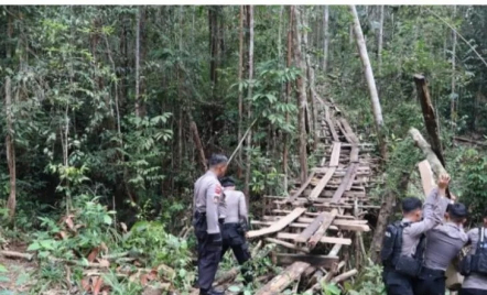 Cegah Pembalakan Hutan Lindung, Polres Bengkayang Gencarkan Patroli - GenPI.co Kalbar