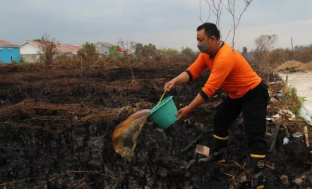 2 Hektare Lahan Terbakar di Sungai Raya Berhasil Dipadamkan Polisi-Damkar - GenPI.co Kalbar
