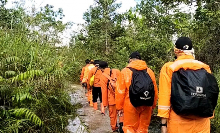 Pria Tua Hilang di Hutan Kukar, 7 Pencari Tersesat, Gaib? - GenPI.co Kaltim