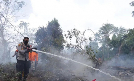 Ribuan Hektare Lahan Terbakar di Riau, Api Dijinakkan Water Bombing - GenPI.co Riau