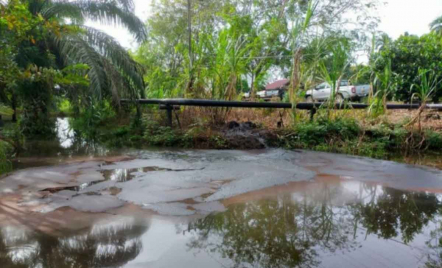 Pipa Bocor, Tumpahan Minyak Cemari Permukiman Warga di Siak - GenPI.co Riau
