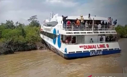 Kapal Ferri Dumai Tabrak Hutan Bakau, Kandas di Perairan Meranti - GenPI.co Riau