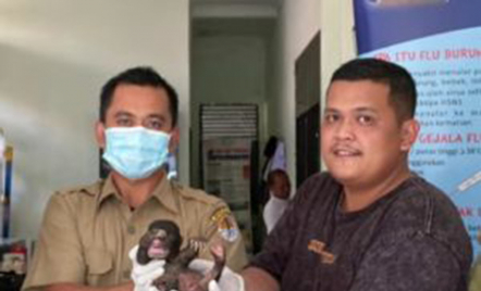 Warga Indragiri Hulu Serahkan Bayi Beruang Madu ke BKSDA Riau - GenPI.co Riau