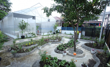 BRI Peduli Dukung Kegiatan Bertani di Kota Medan - GenPI.co Sultra