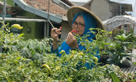 BRInita Sukses Jadikan Kelurahan Padjajaran Bandung Jadi Percontohan Urban Farming - GenPI.co Sultra