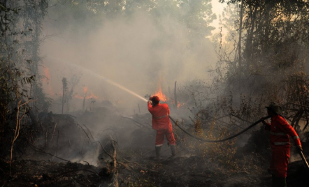 BPBD OKU Terapkan Status Siaga Hadapi Kebakaran Hutan dan Lahan - GenPI.co Sumsel