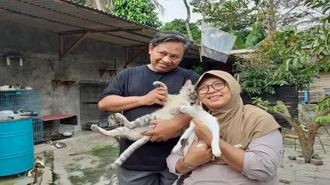 Rumah Kucing Parung Sangat Butuh Donasi - GenPI.co