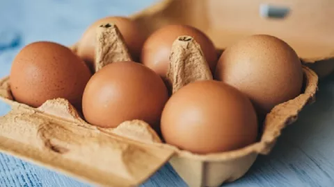 Di Balik Khasiat Telur Ternyata Ada Bahayanya - GenPI.co