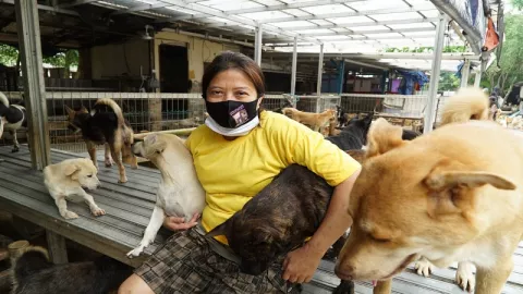 Ribuan Anjing Telantar Ditampung di Pejaten Shelter - GenPI.co