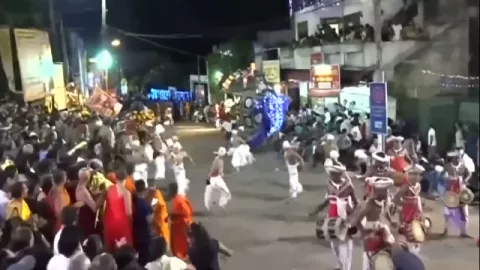 Gajah Ngamuk di Festival Budaya, 18 Orang Luka-luka - GenPI.co