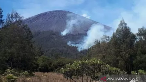 198 Hektare Luas Hutan yang Terbakar di Gunung Semeru - GenPI.co