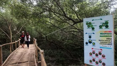 Ratuan Mangrove di Kawasan Ekowisata Bekasi Terancam Mati - GenPI.co
