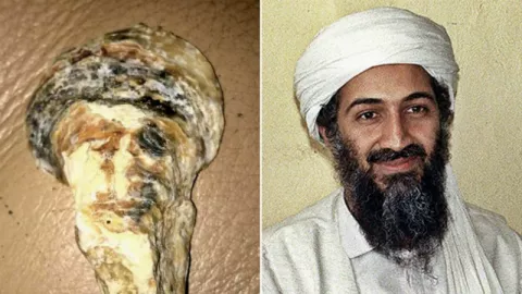 Kerang Mirip Osama Bin Laden Ditemukan di Pantai Inggris - GenPI.co