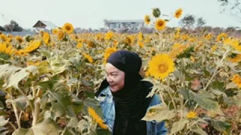 Siapkan Kamera, Ada Spot Bunga Matahari Bermekaran di Tangerang - GenPI.co