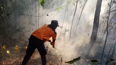 Gunung Rinjani Terbakar, Serpihan Debu Tertiup Hingga ke Mataram - GenPI.co