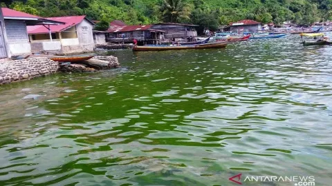 Fenomena Air Laut Berwarna Hijau di Padang, Ini Kata Pengamat - GenPI.co
