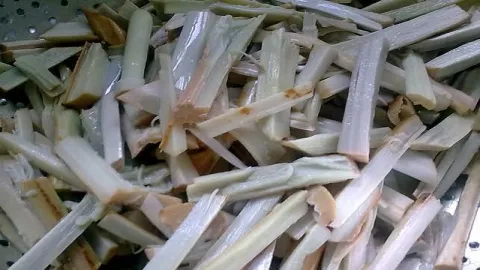 Unik, Bambu Rotan Jadi Makanan di Lampung - GenPI.co