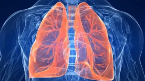 Selain Setop Merokok, Lawan Kanker Paru-paru dengan Cara Berikut - GenPI.co