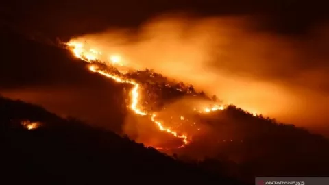 Hutan Gunung Lawu Terbakar, Jalur Pendakian Ditutup - GenPI.co