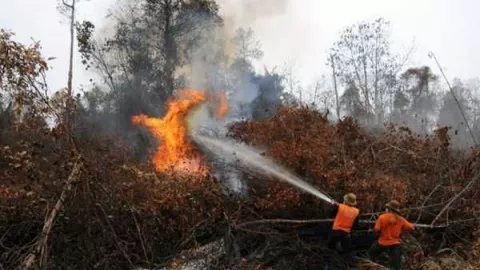 Kebakaran Hutan Melanda Gunung Rinjani   - GenPI.co