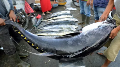 Pameran di Jepang, KKP Raup Nilai Ekspor Ikan USD 42,62 Juta - GenPI.co