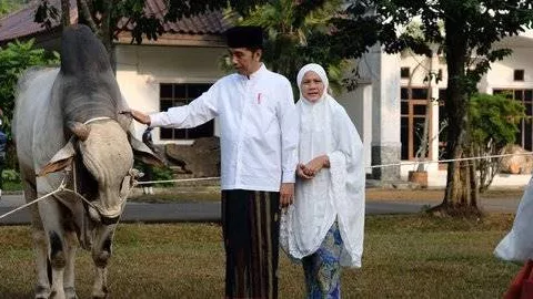 Jokowi Serahkan Sapi Qurban Ongole 1 Ton ke Kebun Raya Bogor - GenPI.co