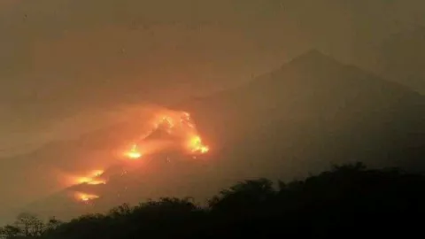 Dahsyat, 300 Hektare Hutan Gunung Arjuno Terbakar - GenPI.co