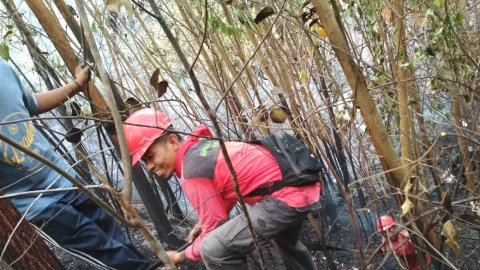 Asmara, Sang Pemadam Api yang Gugur Tertimpa Pohon Saat Karhutla - GenPI.co