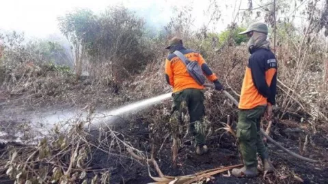 Dalam Satu Hari Karlahut Bisa 150 H, Masyarakat Wajib Mencegahnya - GenPI.co