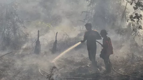 58 Titik Panas Kebakaran Hutan dan Lahan Tersebar di Riau - GenPI.co