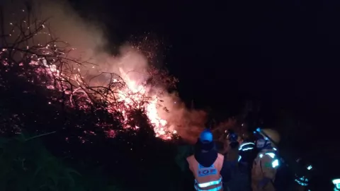 Lega, Kebakaran Lereng Gunung Sumbing Wonosobo Berhasil Padam - GenPI.co