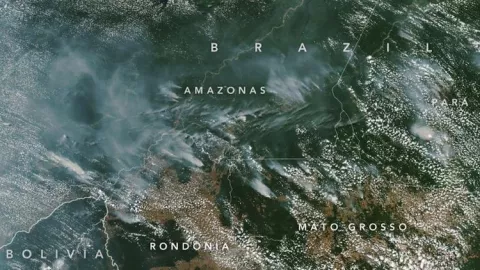 Ini Penampakan Kebakaran Hutan Amazon Dari Satelit NASA - GenPI.co