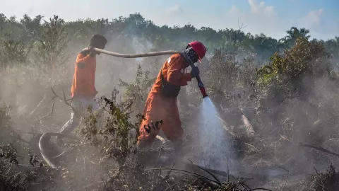 Tim Satgas Berjibaku Padamkan Ribuan Hektar Karlahut di Riau - GenPI.co