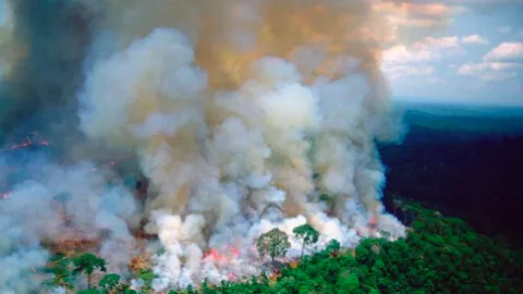 Ragam Upaya Pemadaman Api Kebakaran Amazon  - GenPI.co