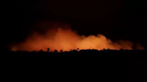 Presiden Brasil dan Perancis Berseteru Kebakaran Hutan Amazon - GenPI.co
