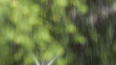 Hujan Guyur Jakarta Hari ini, Siapkan Mantel dan Payung - GenPI.co