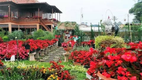 4 Taman Mawar di Indonesia Cocok untuk Rayakan Valentine - GenPI.co