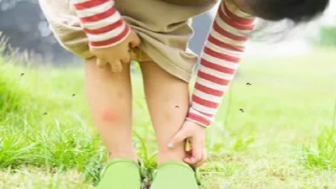 5 Cara Ini Ampuh Cegah Gigitan Nyamuk Buat Si Kecil - GenPI.co