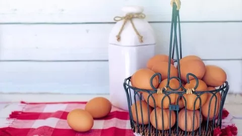 Tak Banyak yang Tahu, 5 Manfaat Putih Telur ini Bikin Takjub - GenPI.co