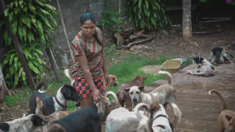 Aksimuda Serahkan Donasi ke Bali Stray Dog Society - GenPI.co