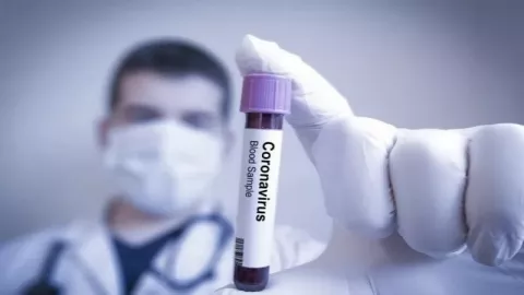 Jepang Uji Coba Vaksin Virus Corona Pada Hewan - GenPI.co